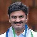 YSRCP MP Raghu Ramakrishna Raju criticises Volunteers