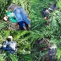 BSF kills 5 intruders along India Pak IB in Punjab