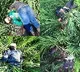 BSF kills 5 intruders along India Pak IB in Punjab