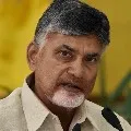 Chandrababu greets Ram Mohan Naidu on his birthday