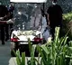 PM Modi inaugurates Arogya Van park in Gujarat