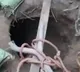 Tunnel Found in Jammu and Kashmir Suspecting used by Terrorists to Cross Border