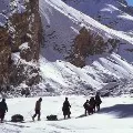 arunachal 5 youngsters reaches india