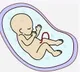 Study says corona antibodies could transfer child from mother