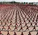 China Sends Martial Arts Fighters day before Attack on Indian Army