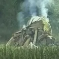 UP Gang Rape Victim Cremation By Cops As Family Didnot Allow
