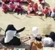 In Pakistan girls and women gets training how to behead