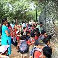 Centre tells no decision on schools opening