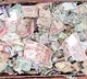 5 lakh rupees destroyed by Termites in krishna dist