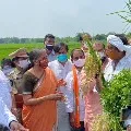 Nirmala Sitharaman talks to farmers of Jakkula Nekkalam