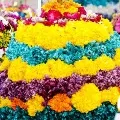 Bathukamma festival starts today