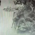 Real Police Chage Video Shared by Chennai CP Goes Viral