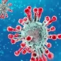 Biggest single day jump in coronavirus cases in India