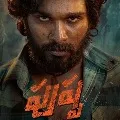 Many villan roles in Allu Arjun movie