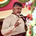 Chandrababu says minister Peddireddy should take responsibility for elections offences