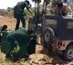 Leopard dies of internal wounds while shifting to Zoo