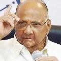 Sharad pawar responds on Kanganas office demolition