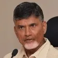 Defamation suit against Chandrababu Andhrajyothy Eenadu