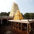 Police busts Srishailam scam