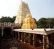 Police busts Srishailam scam