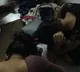 Drunken girls in Hyderabad creates ruckus