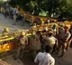Hathras Rape Victims Family Refused To Undergo Covid Tests
