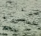Heavy rains forecast in AP next 4 days