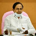 CM KCR says govt will bought crop