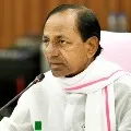 CM KCR held meeting with district collectors in Pragathi Bhavan