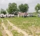 Eleven members dead in a migrated hindu family