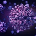 So far new strain of Corona not identified in AP says health department