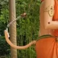Hanuman statue damaged in Nellore district