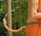 Hanuman statue damaged in Nellore district