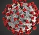 New corona cases and deaths increased in AP