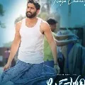 Chaitanya lovestory new poster