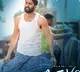 Chaitanya lovestory new poster
