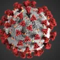 AP sees gradual decline in Corona positive cases