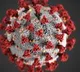 AP sees gradual decline in Corona positive cases