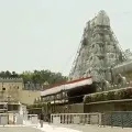 8 State Piligrims took Darshan in tirumala