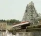 8 State Piligrims took Darshan in tirumala