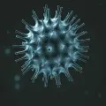 AP Corona Virus spreading updates