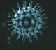AP Corona Virus spreading updates
