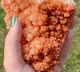 Stone Looks like Chicken Fry Picture Goes Viral