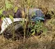 Lovers commits suicide in Mahaboobnagar District