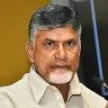 Chandrababu condemns lathicharge on devotees of Lord Balaji