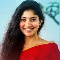 Young heroine in Chiranjeevis movie