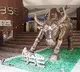 Sensex hits 50000 mark for first time ever