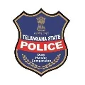 Biker hits SI while police checking vehicles