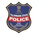 Biker hits SI while police checking vehicles