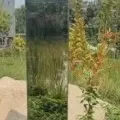 Mysterious Monolith Spotted In Ahmedabad Park